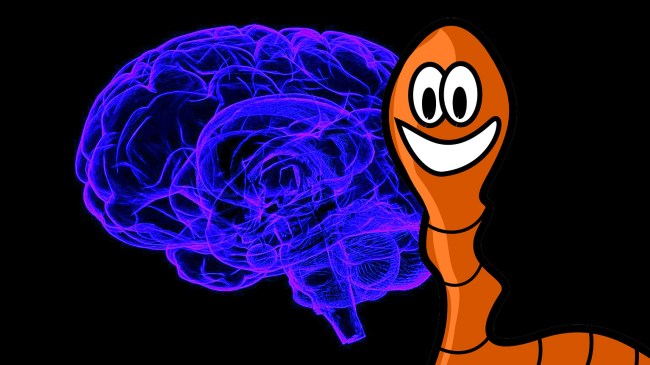 Chinese Man Had A 5-Inch Worm Living Inside His Brain For 17 Years