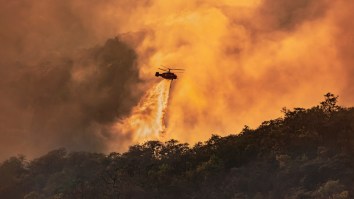 Report: California Wildfire Caused By Smoke Device During Gender Reveal Party