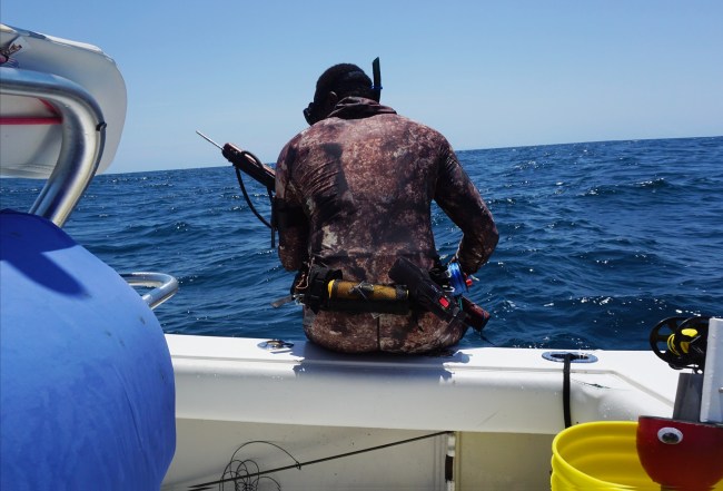 spearfishing