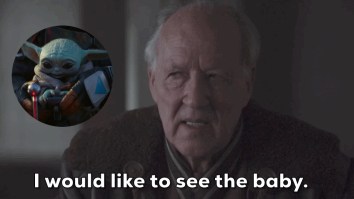 Legendary Director Werner Herzog Talking About Working With Baby Yoda Is Just Glorious