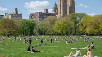 The Best And Worst States To Live In US During COVID-19 Pandemic