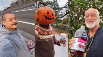 After ‘Dreams’ Skateboarding Memes Go Crazy Viral, Fleetwood Mac Drummer Joins TikTok Phenomenon