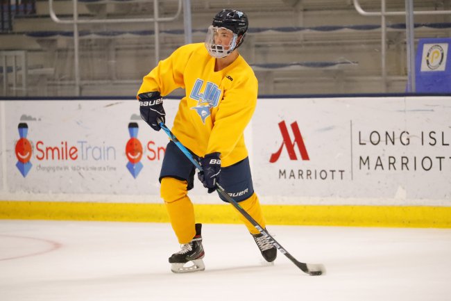 Long Island University Hockey