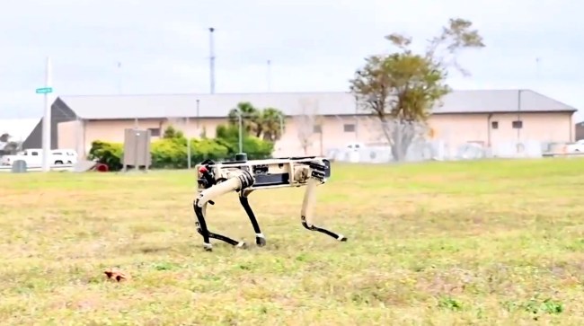 Florida Military Base To Deploy Robotic Dogs Soldiers