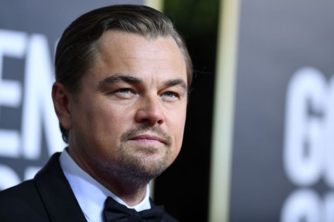 Websites describe Leonardo DiCaprio as having a dad bod in new photos from a beach. 