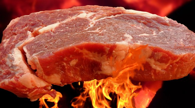 Viewers Left Horrified When Girl On TikTok Cooks Steak In A Toaster