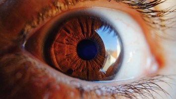 A Florida Man Built A Robot That Puts In Your Contact Lenses And It’s The Weirdest Thing I’ve Seen In At Least A Fortnight