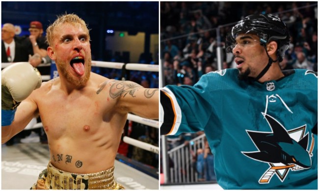 evander kane jake paul fight boxing match