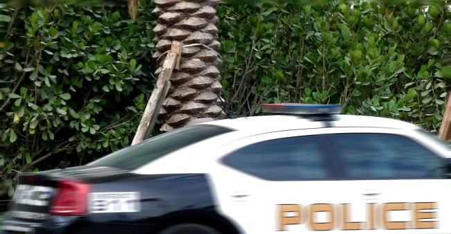 Man Hits Cop With Shovel Steals His Car Causes Four Car Pile Up