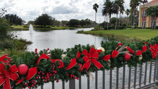 Christmas in Florida