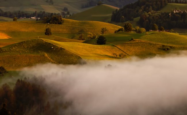 farmer sonic weather control cannon