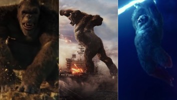 Where’s Kong’s Dong?