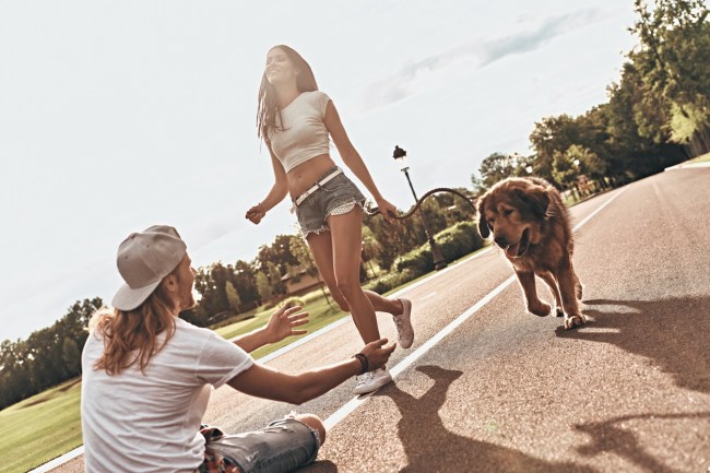 Quebec husband and wife were handed $1,500 fines for violating curfew, despite the wife's protests that she was walking her dog and the fact the husband was wearing a leash.