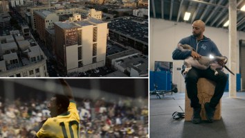 What’s New On Netflix In February: ‘Pelé, Crime Scene: The Vanishing At The Cecil Hotel, Canine Intervention’ And More