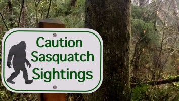 Bigfoot Sighting Reported In California: ‘I Have Never Seen Anything Like’ It, Says Witness