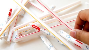 People Are Putting ‘Rare’ Plastic McDonald’s Straws On eBay For Thousands Of Dollars