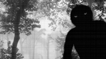 Bigfoot Sighting Captured On Video In The Florida Panhandle Triggers Further Investigation