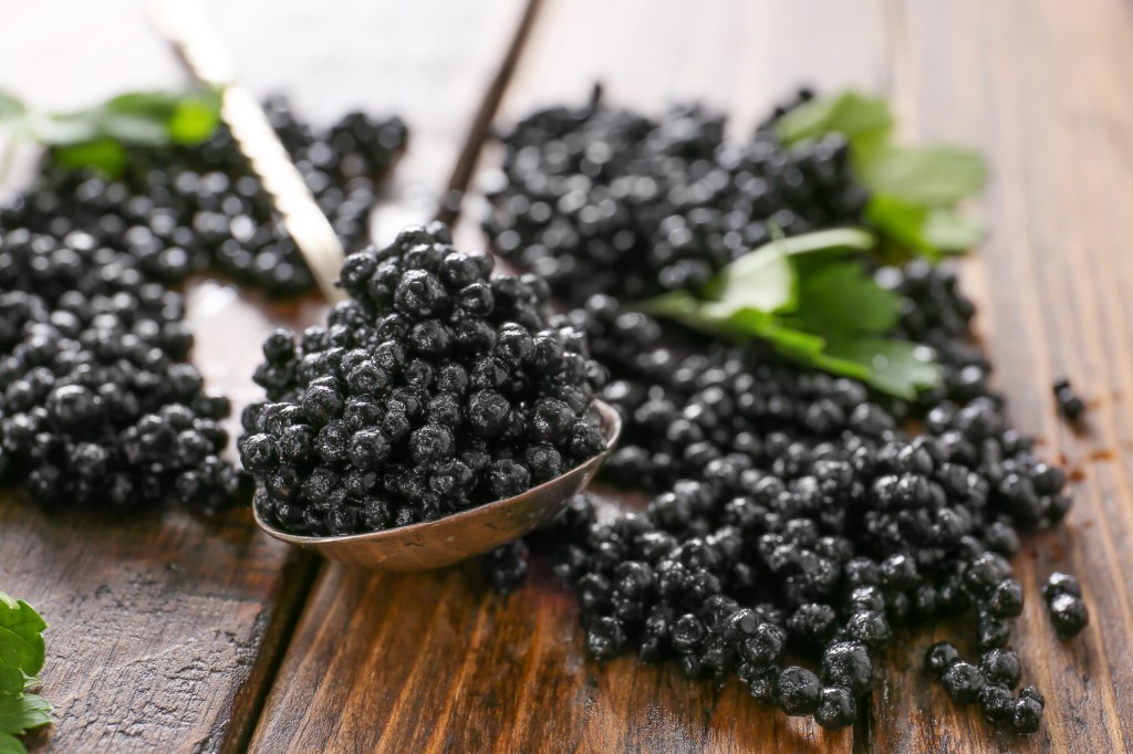 sturgeon caviar