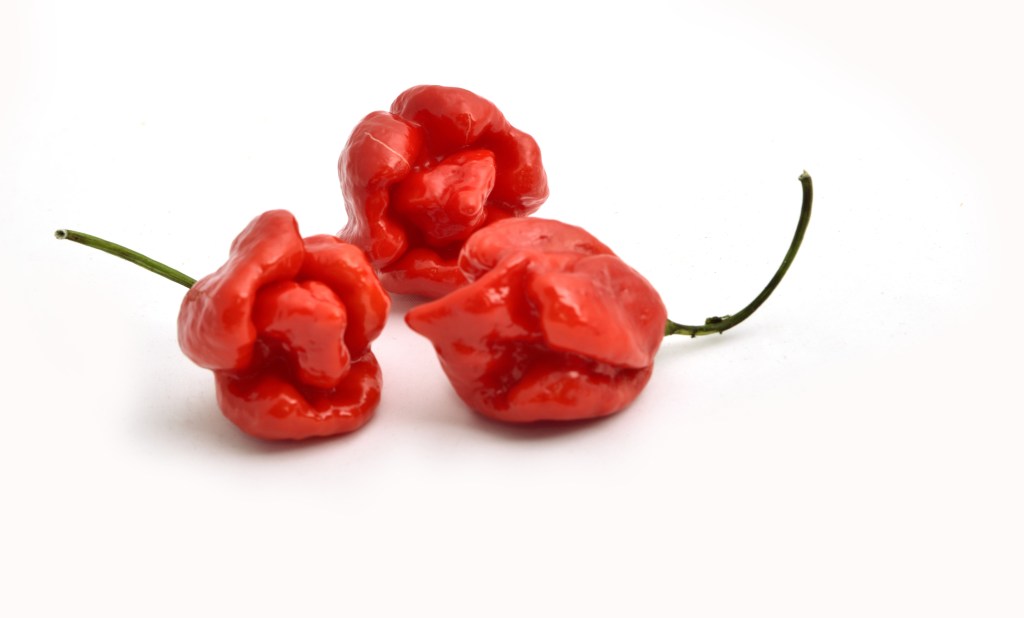 carolina reaper peppers hottest pepper in the world