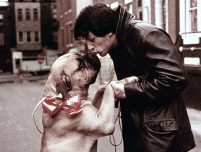 Twitter thread details the struggles of Sylvester Stallone prior to getting his big break with 'Rocky'.