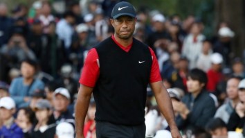 Forensic Experts Suggest Tiger Woods May Have Fallen Asleep, Suffered A ‘Medical Episode’ Prior To Crash