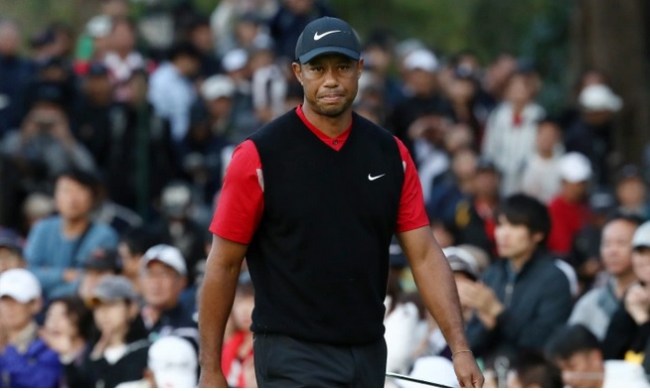tiger woods fell asleep before crash