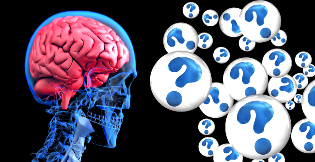 Deadly Brain Disease With No Known Cause Or Cure In Eastern Canada