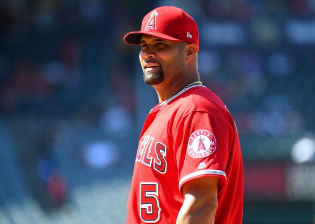 Albert Pujols Angels