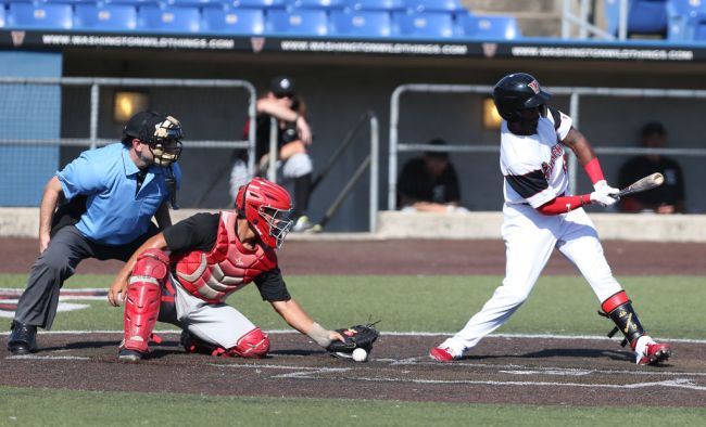 Minor League Baseball Umpire
