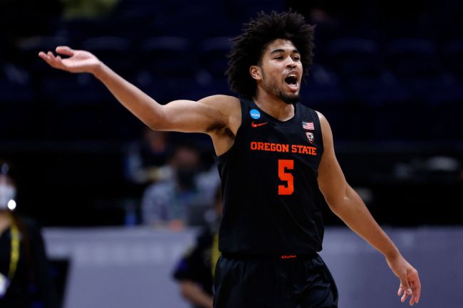 Oregon State Basketball Houston Elite Eight March Madness