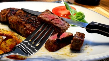 Professional Chef Cooks A Steak In A Toaster, Says It Came Out Perfect, No One Believes Him