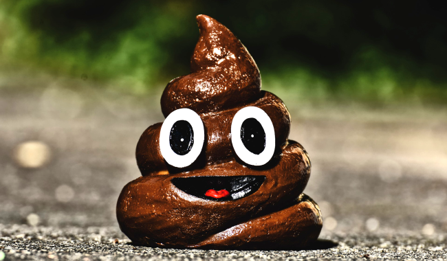 Science Explains How Your Butt Can Tell The Difference Between A Poop And A Fart