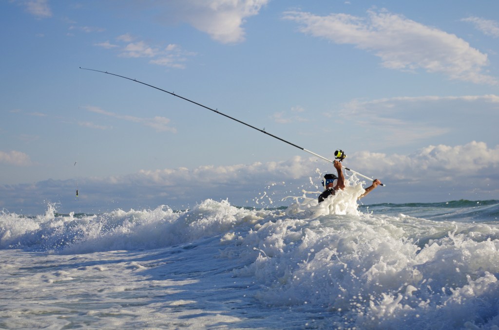 beach fishing for shark