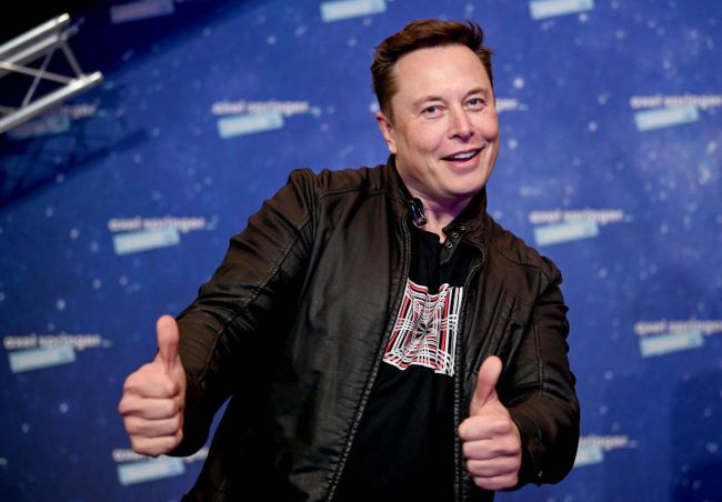 elon musk technoking of tesla