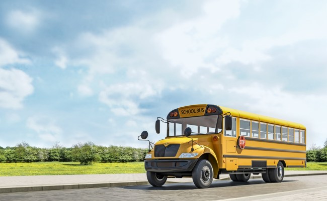 The reason why there are three black rails on the side of school buses revealed to be necessary for emergencies. 