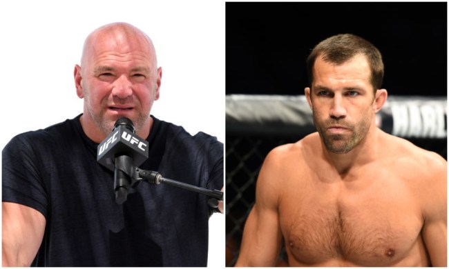 luke rockhold dana white belittle fighters