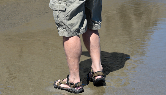 cargo shorts comeback