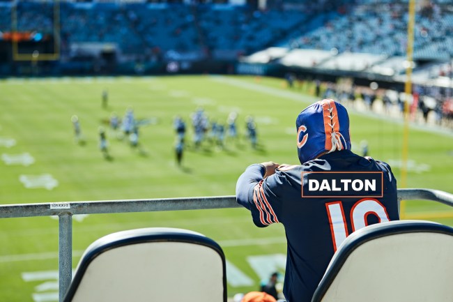 sad bears fan