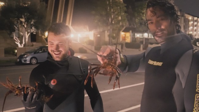 Dylan Efron Flow State Aaron Diaz Lobster