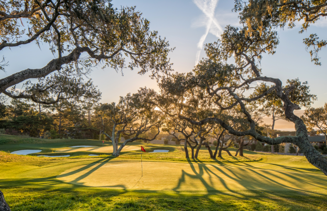 Tiger Woods Golf Course The Hay