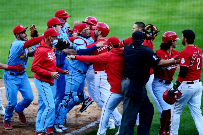 Reds Cardinals Brawl Cincinnati Saint Louis Castellanos Molina