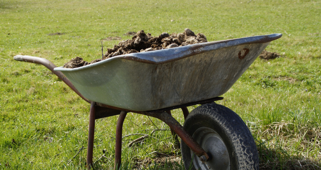Man Builds Poop Wall On Property Line After Dispute With His Neighbor