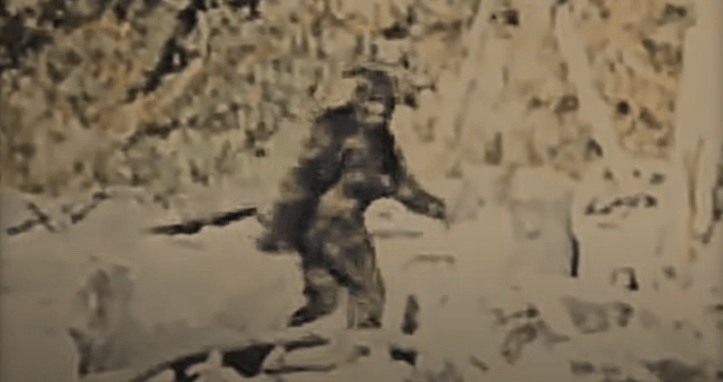 Sasquatch documentary on Hulu examines marijuana, possibly serial killer, and Big Foot in the Pacific Northwest. 