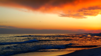 A Company In Florida Is Using Human Remains To Restore The State’s Dying Coral Reefs
