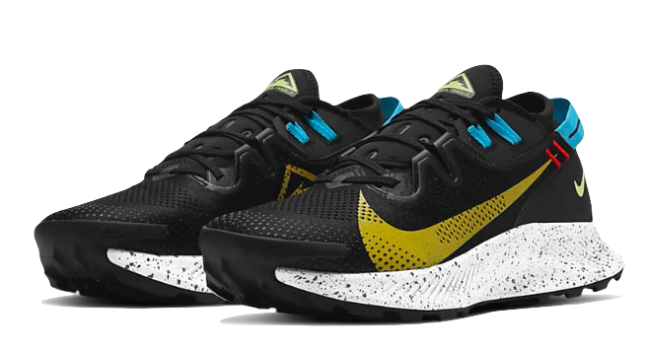 Nike Pegasus Trail 2