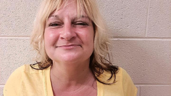 Woman Lights House On Fire Someone In It Watches From Lawn Chair