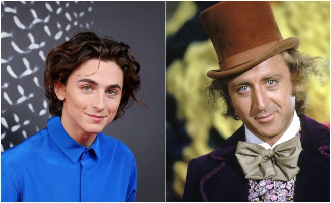 chalamet wonka