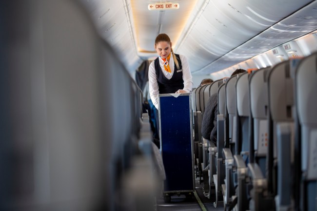 flight attendant