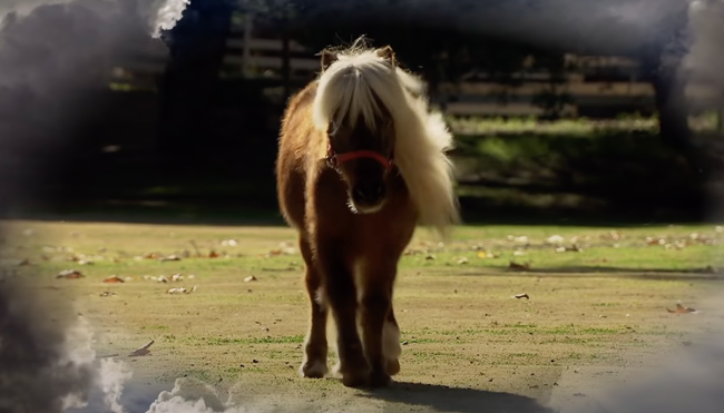 lil sebastian parks rec full song