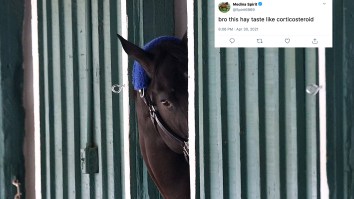 Medina Spirit’s Damning Old Tweets Resurfacing Prove Cancel Culture Is Out For Blood